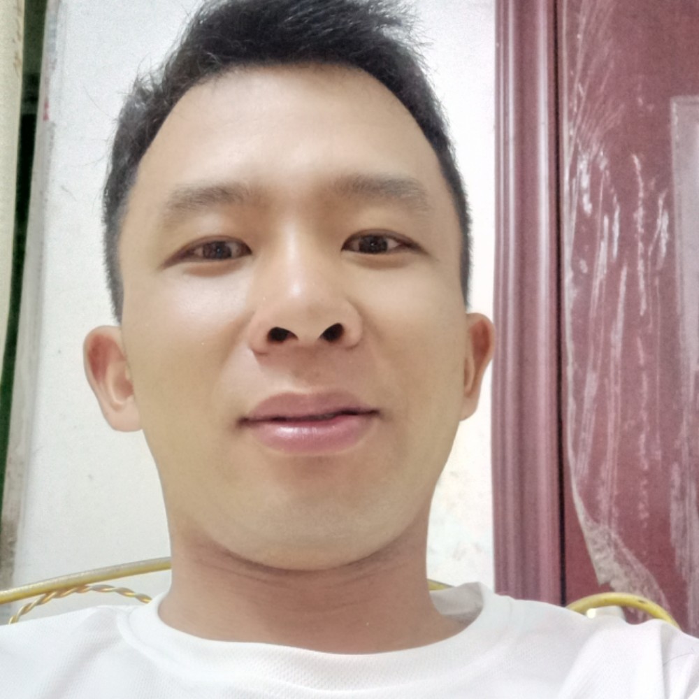 大象单纯的照片