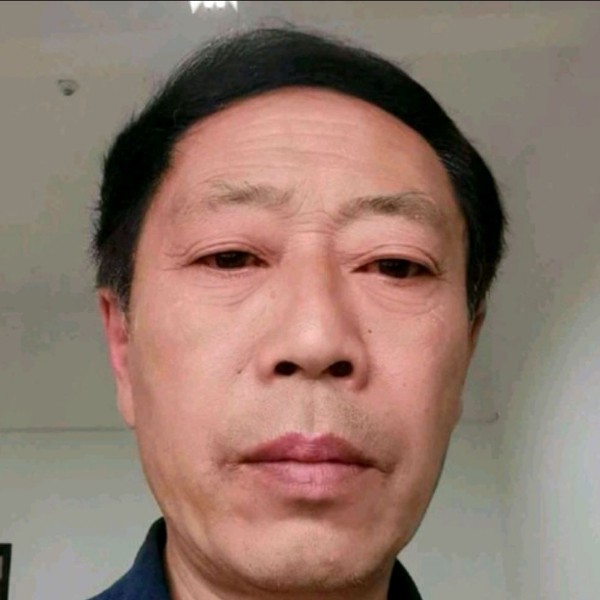 小鸽子伶俐的照片