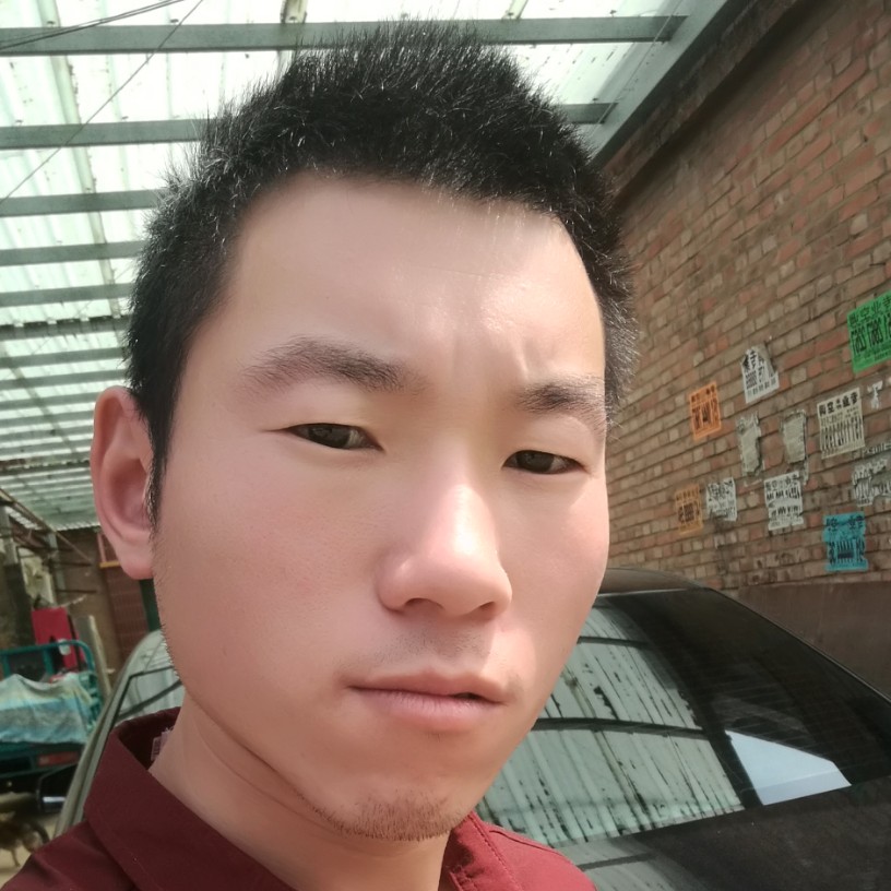 蚂蚁失眠的照片