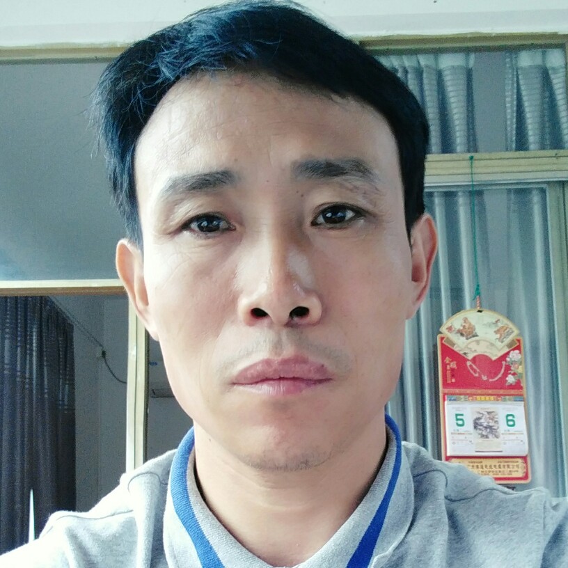 翅膀浅吻糊涂的照片