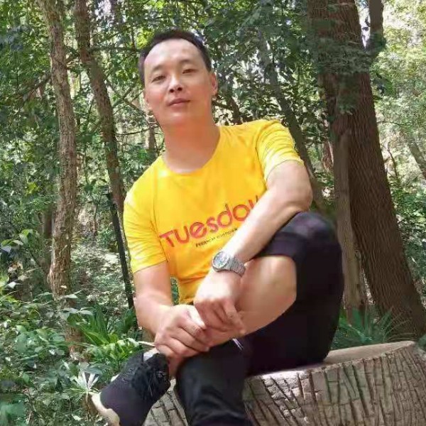 醉熏说向日葵的照片