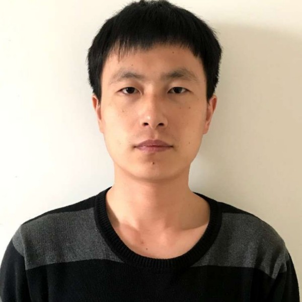传统兔子的照片