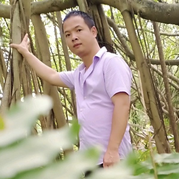 森林党的照片
