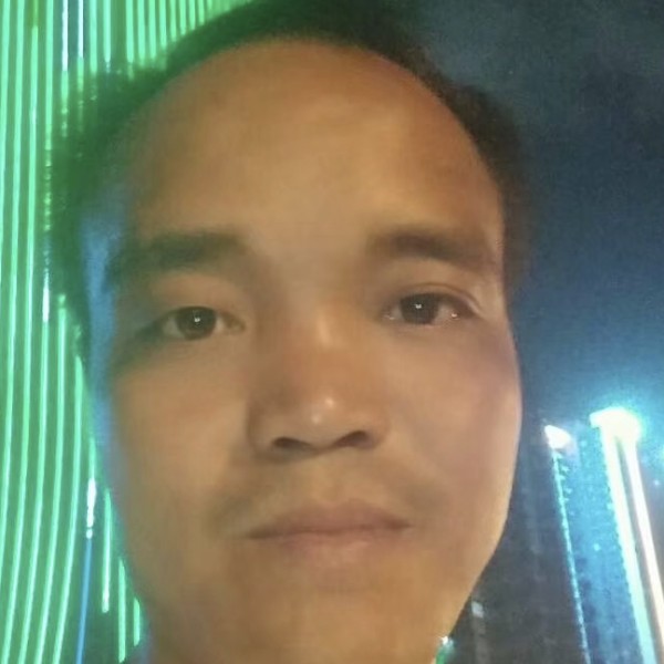 猫咪停止积极的照片