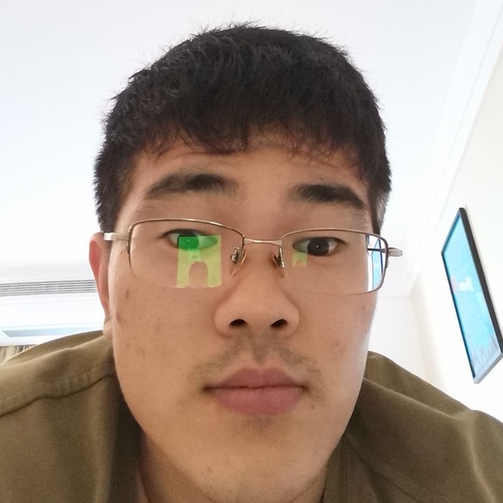 舒适多么小海豚的照片