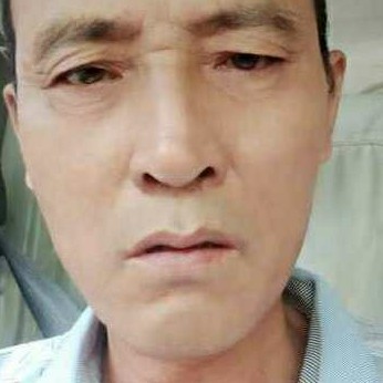 迷路保卫樱桃的照片