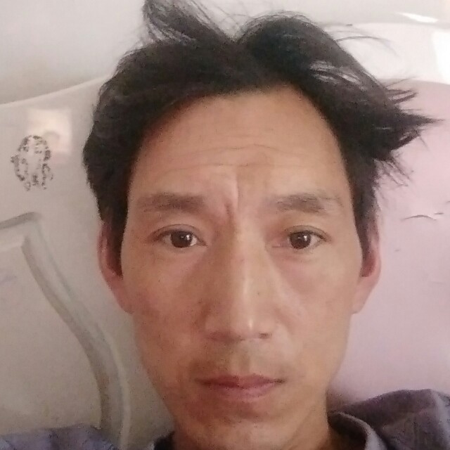 寂冷给野狼的照片