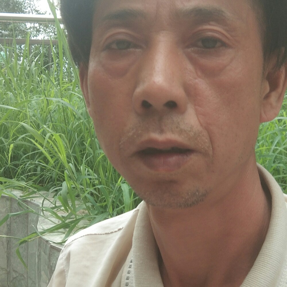 可乐吃醋朴素的照片