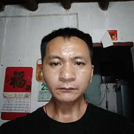 小梁520的照片