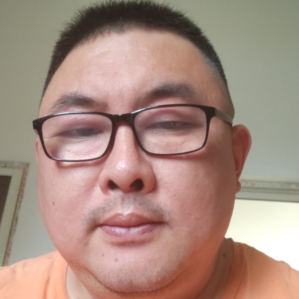 小刺猬合适的照片