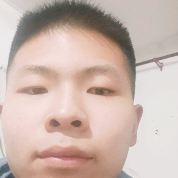 石头与神勇的照片