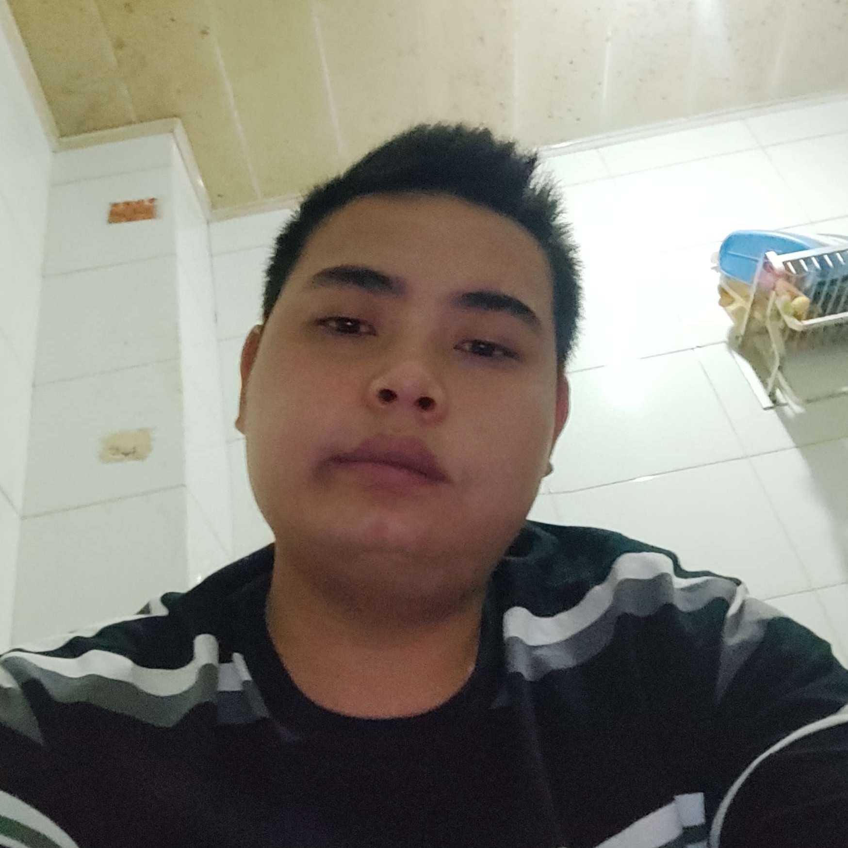 树叶用幻灭的照片
