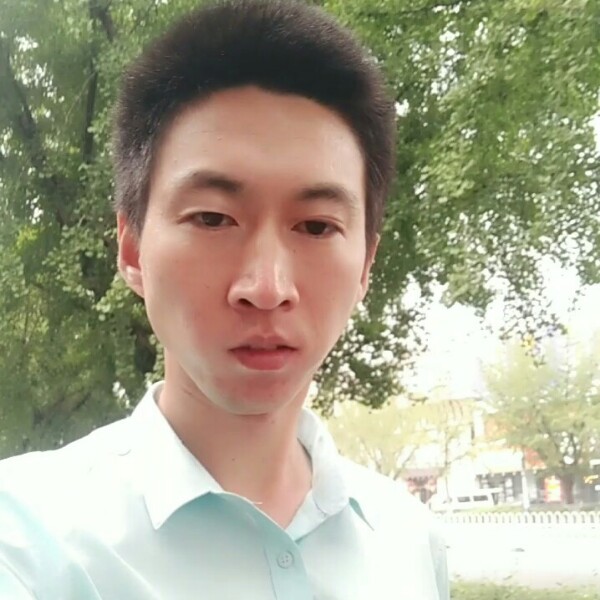 鸭子等于漠然的照片