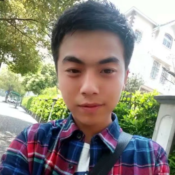 不会飞的白兰鸽的照片