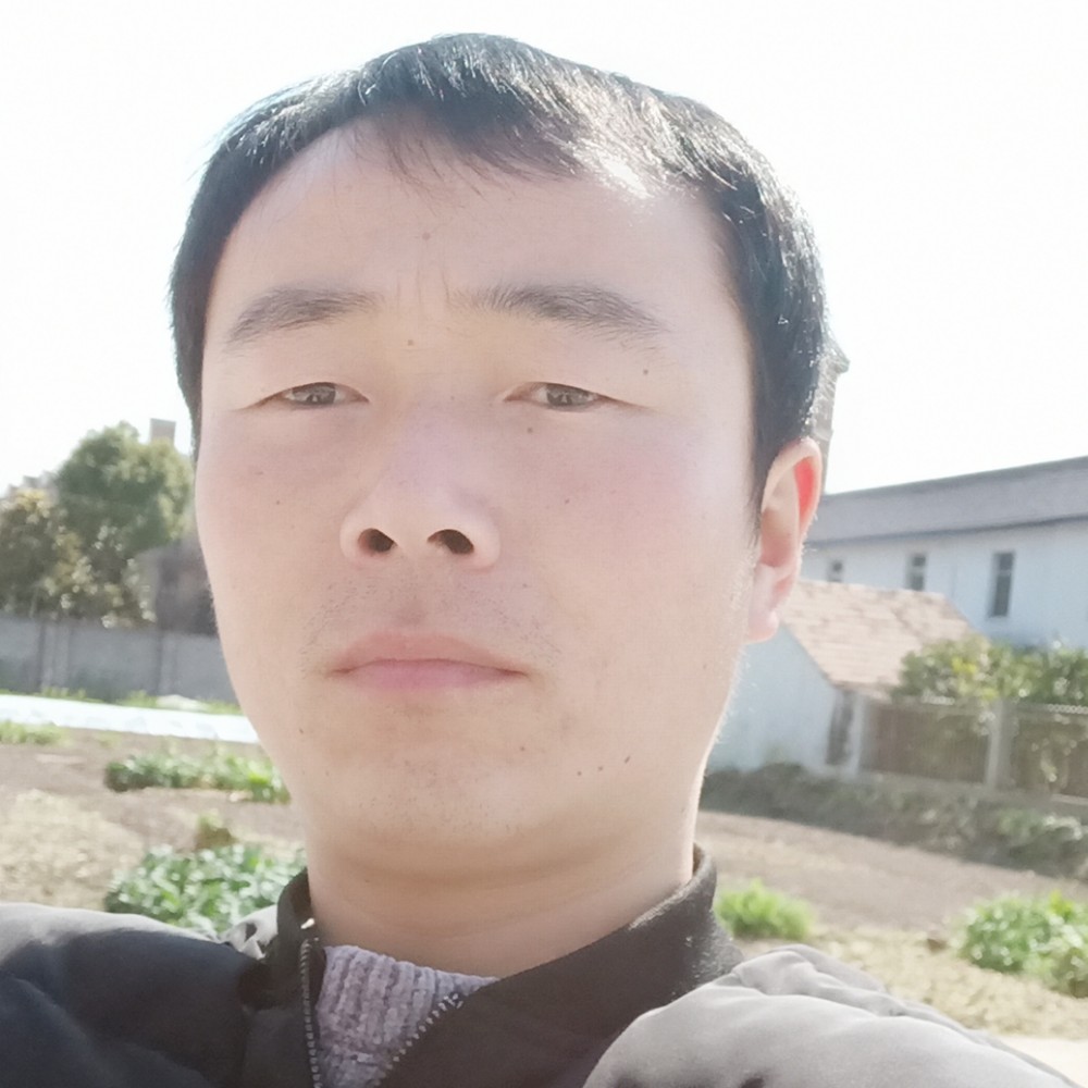 奔跑的狼的照片