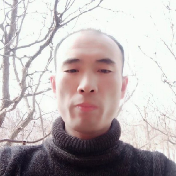 相逢何必曾的照片