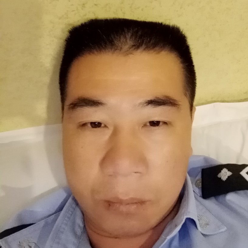 斑马感动的照片