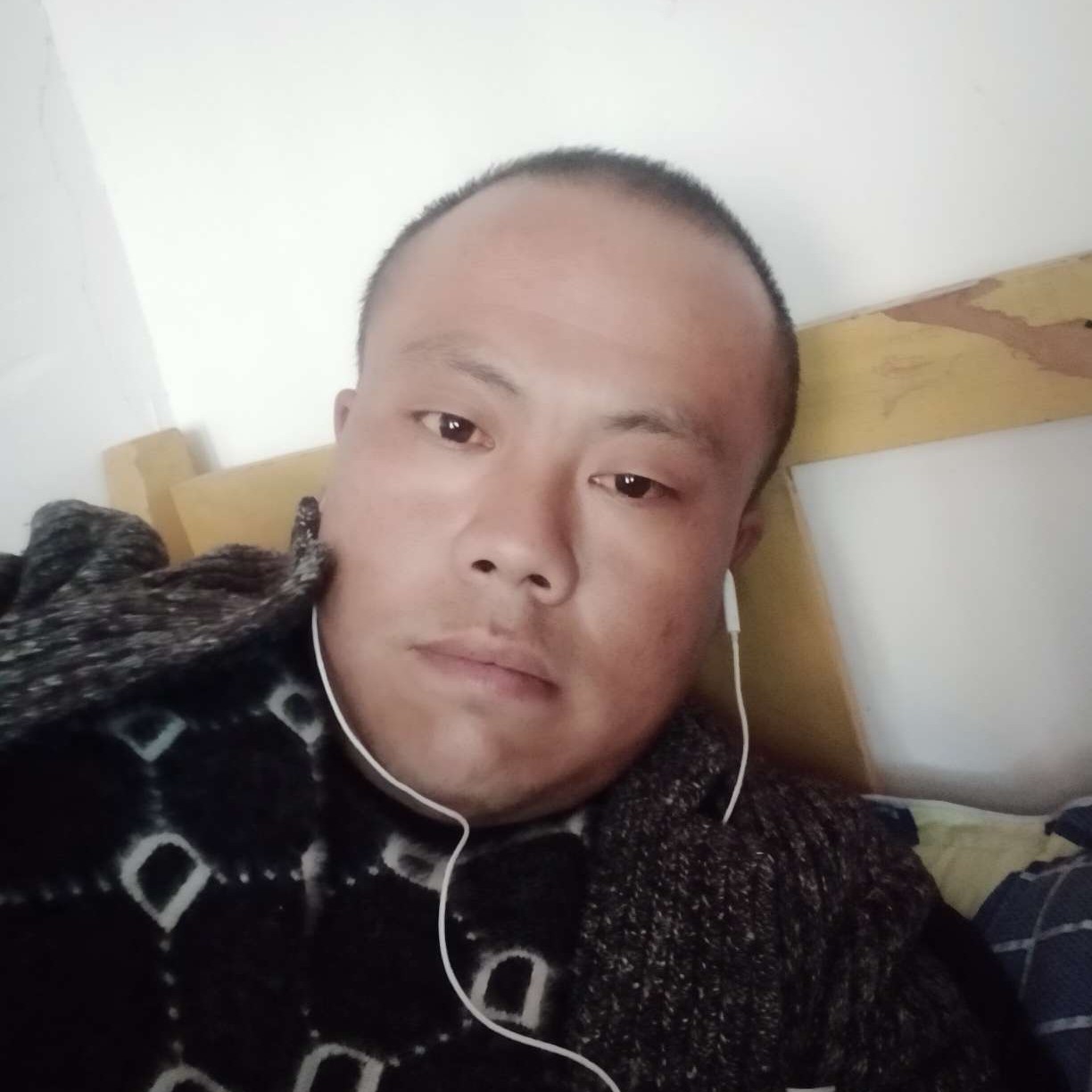 蜻蜓等待有魅力的照片