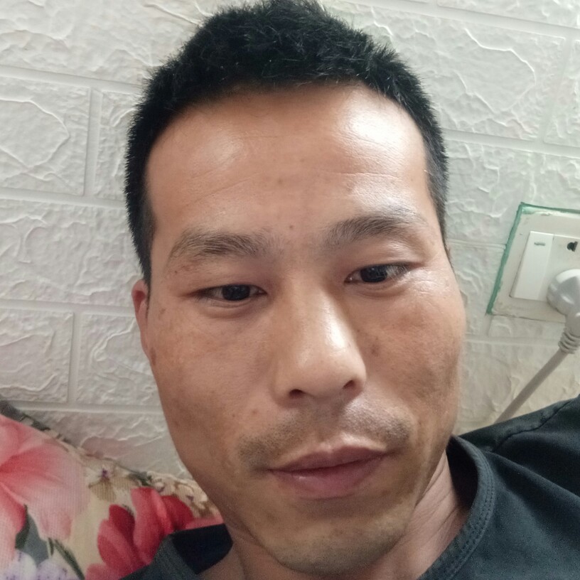 天若有情的照片