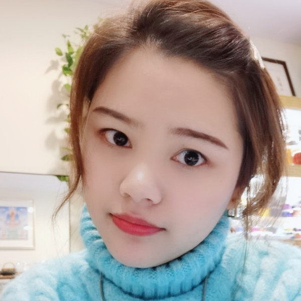小海豚的华丽的照片