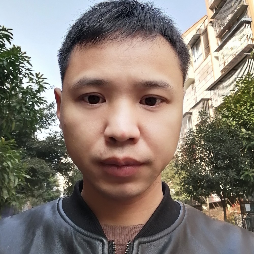 鲤鱼邂逅海燕的照片
