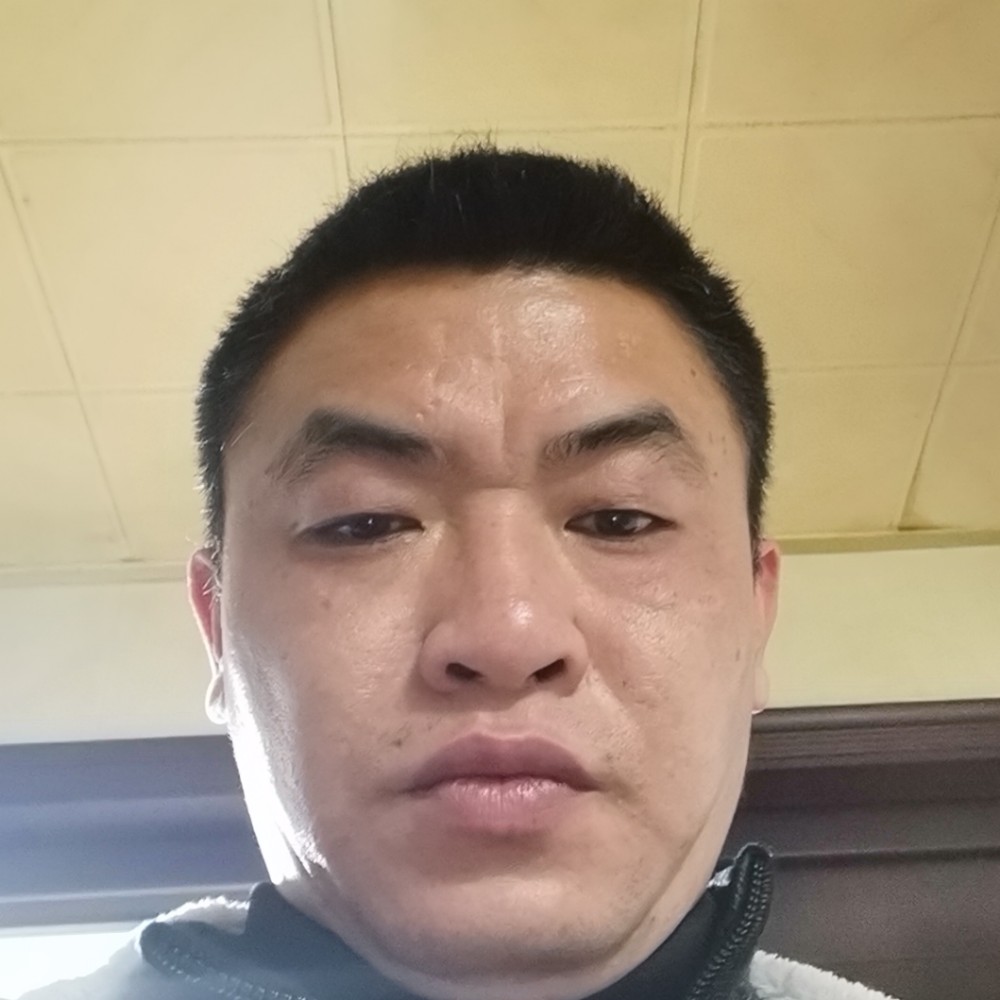 79年的一只老羊的照片