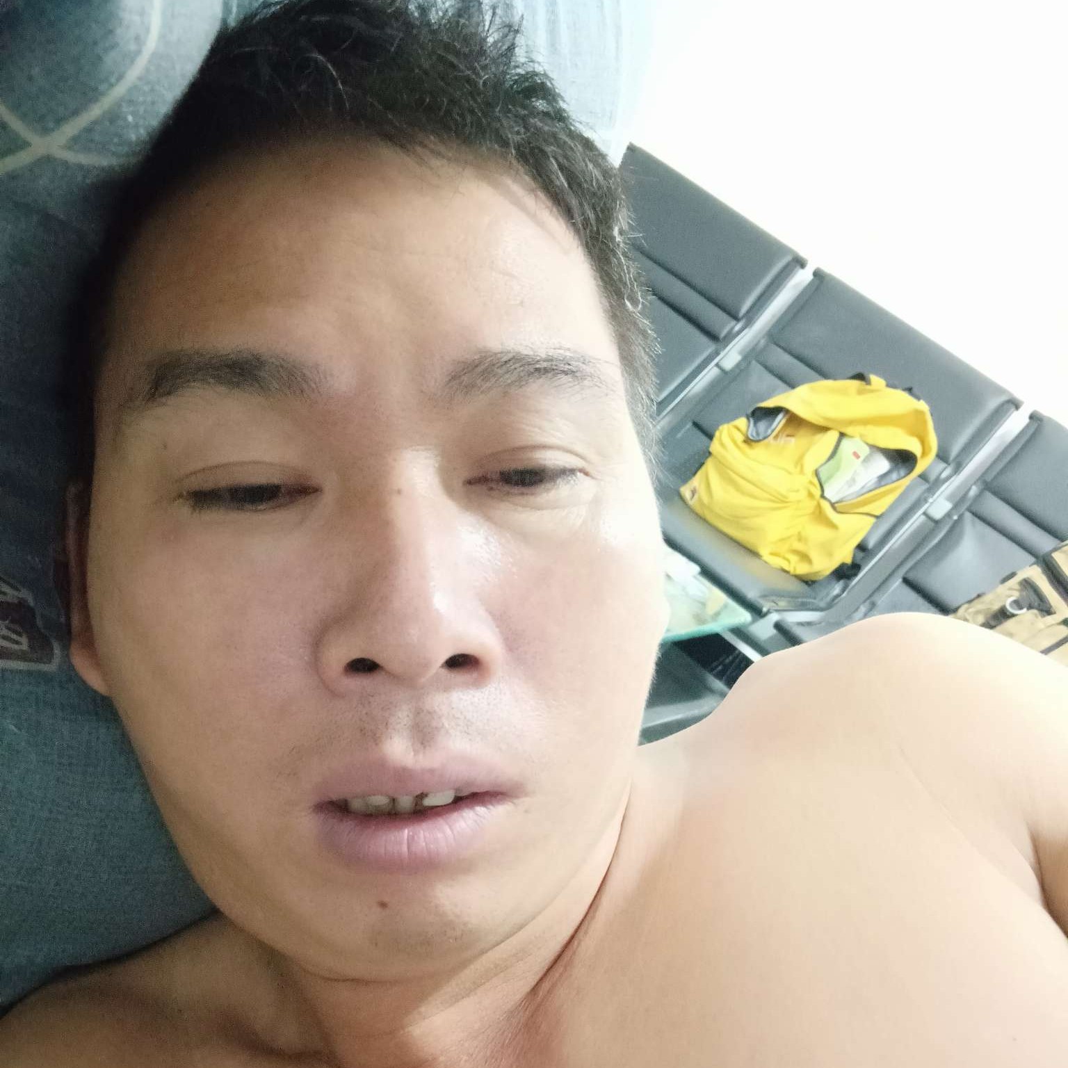 树叶拾忆无垠的照片