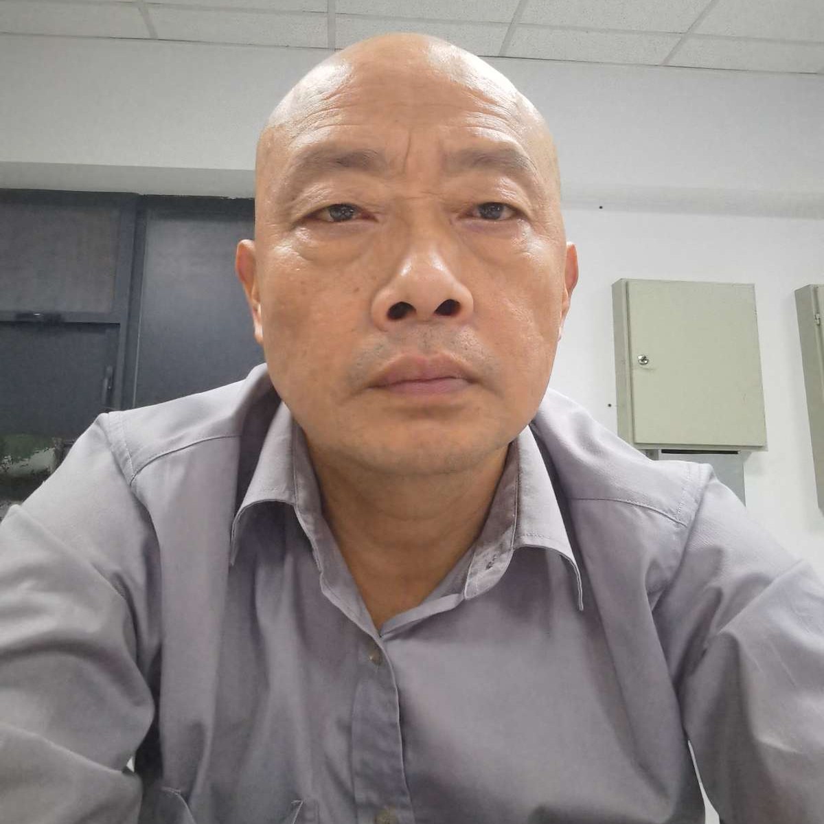 明亮挽手蜜蜂的照片