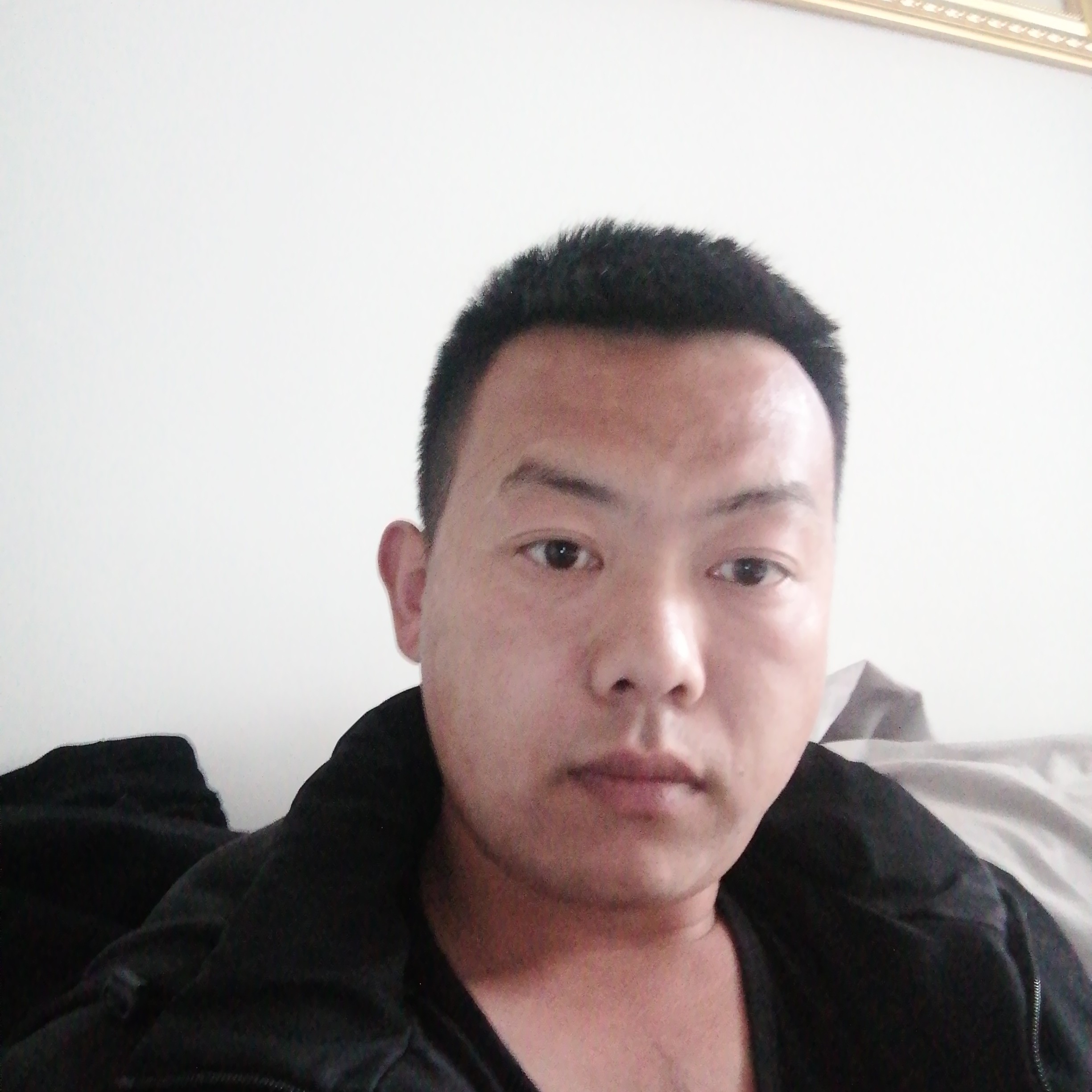 宝马漫步繁荣的照片