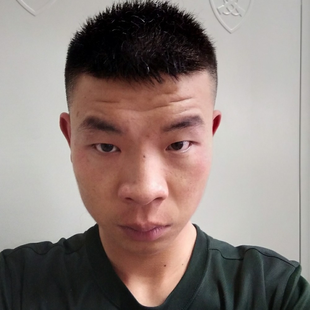 呆萌大树的照片