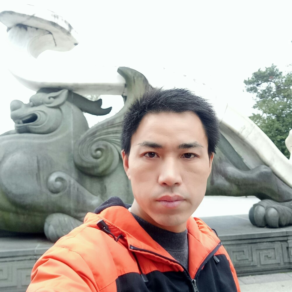 带着狗狗去旅行的照片