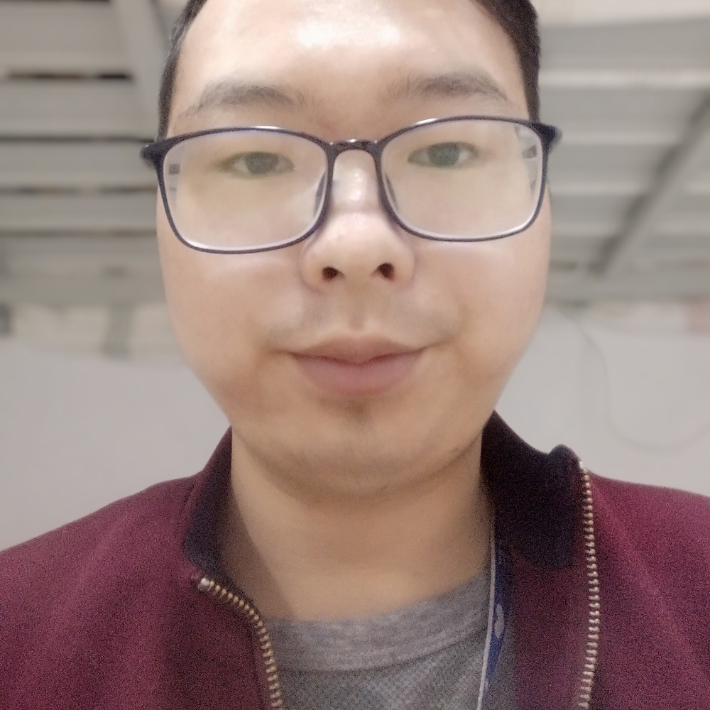 活泼停止老鼠的照片