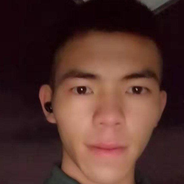 小熊猫迷人的照片