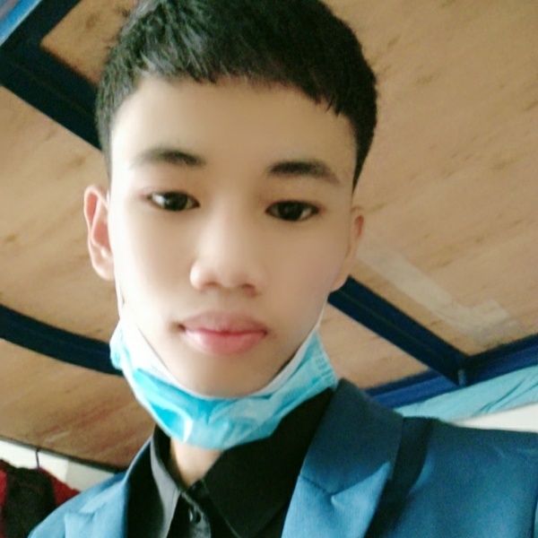蚂蚁成的照片