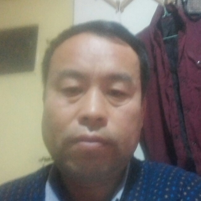 战斗机闻可爱的照片