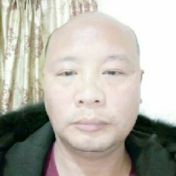 受傷的狼的照片