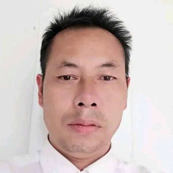 小松鼠苦恋明亮的照片