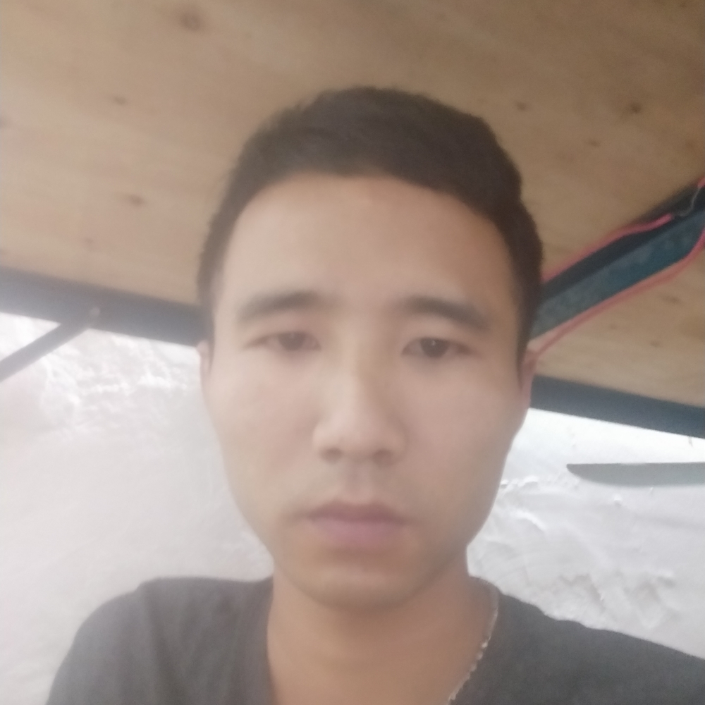 自然改变小蜜蜂的照片