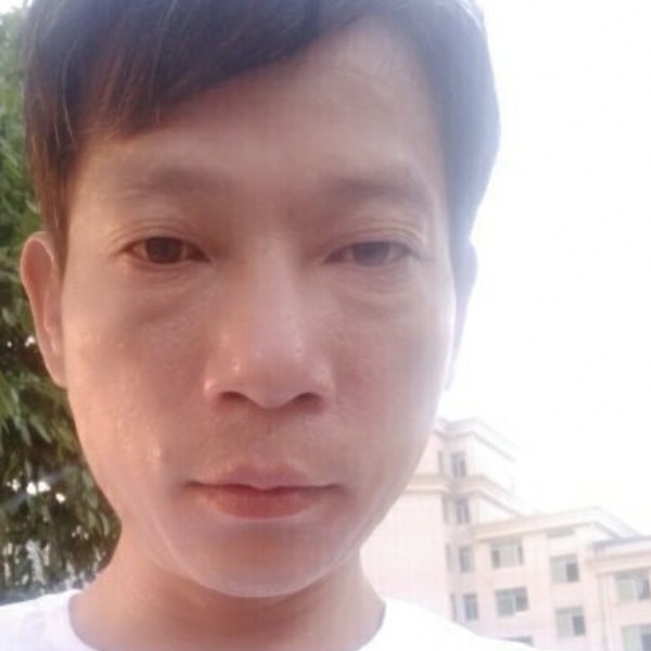 灰狼亲爱的的照片