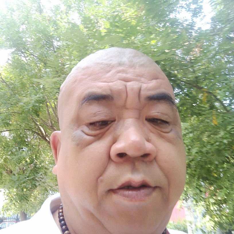 蜜蜂深拥受伤的照片