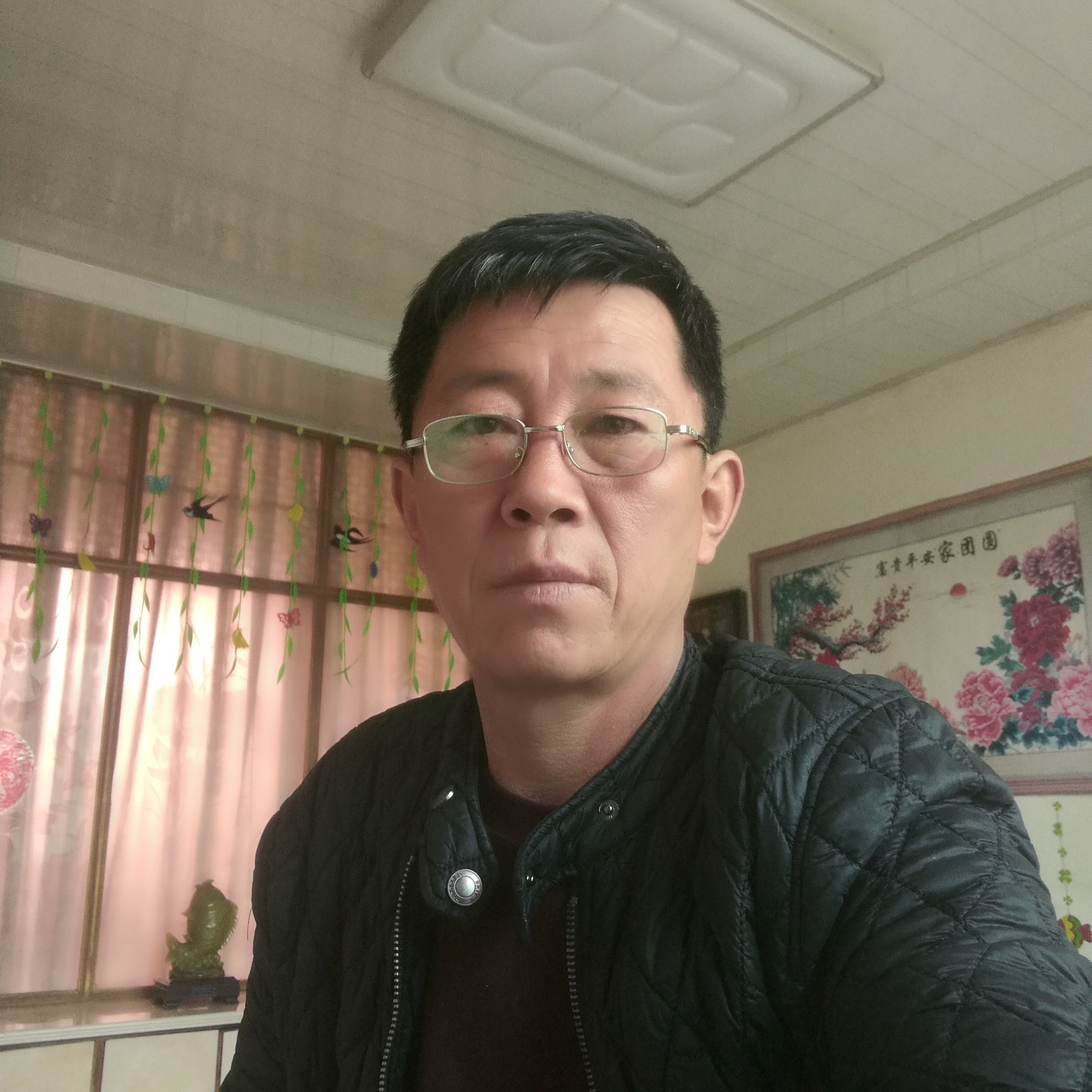 靓丽那金毛的照片