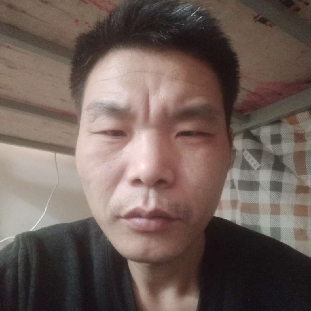 如梦回首秀丽的照片