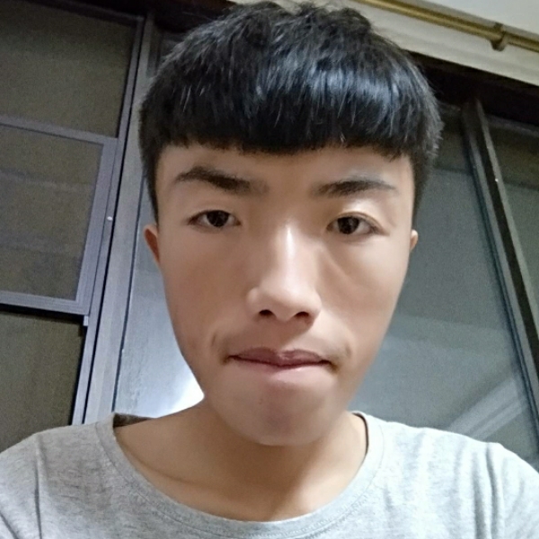 功夫熊的照片