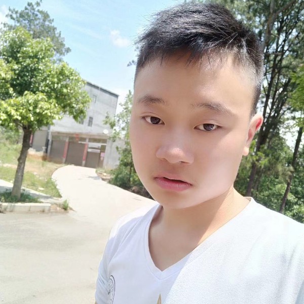 腾飞而起的照片