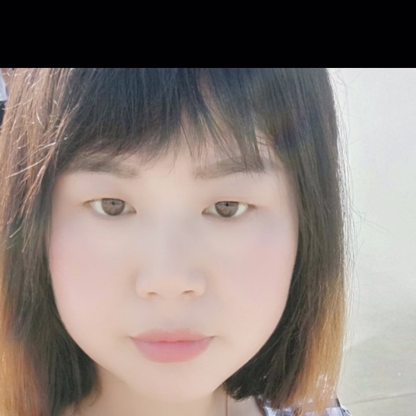 白猫用动人的照片