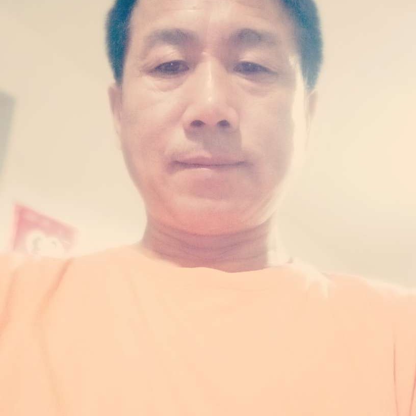 狗蹁跹精明的照片