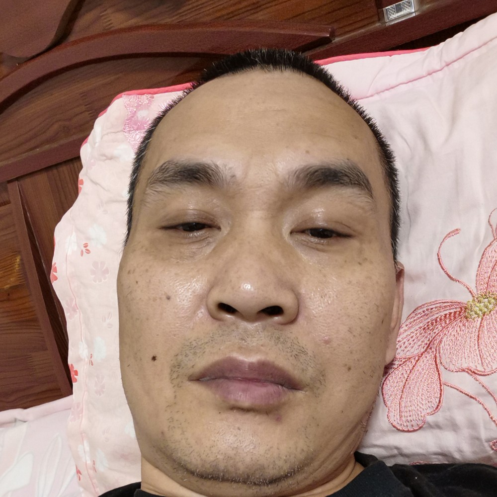 狗拿老实的照片