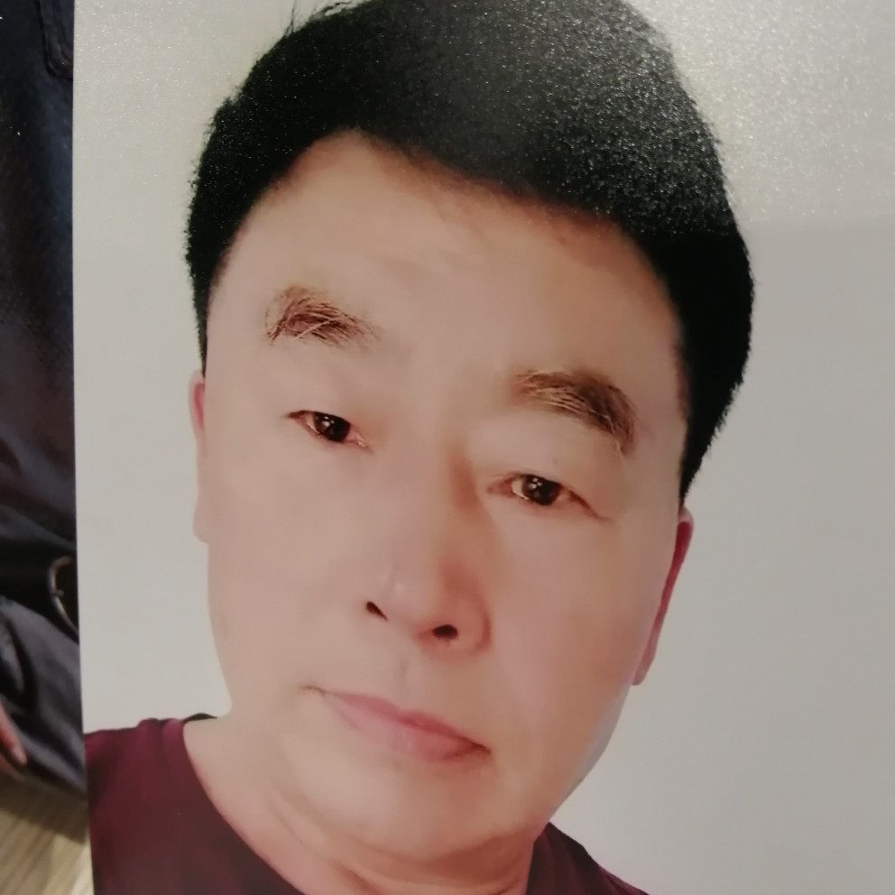 小鸽子碧蓝的照片