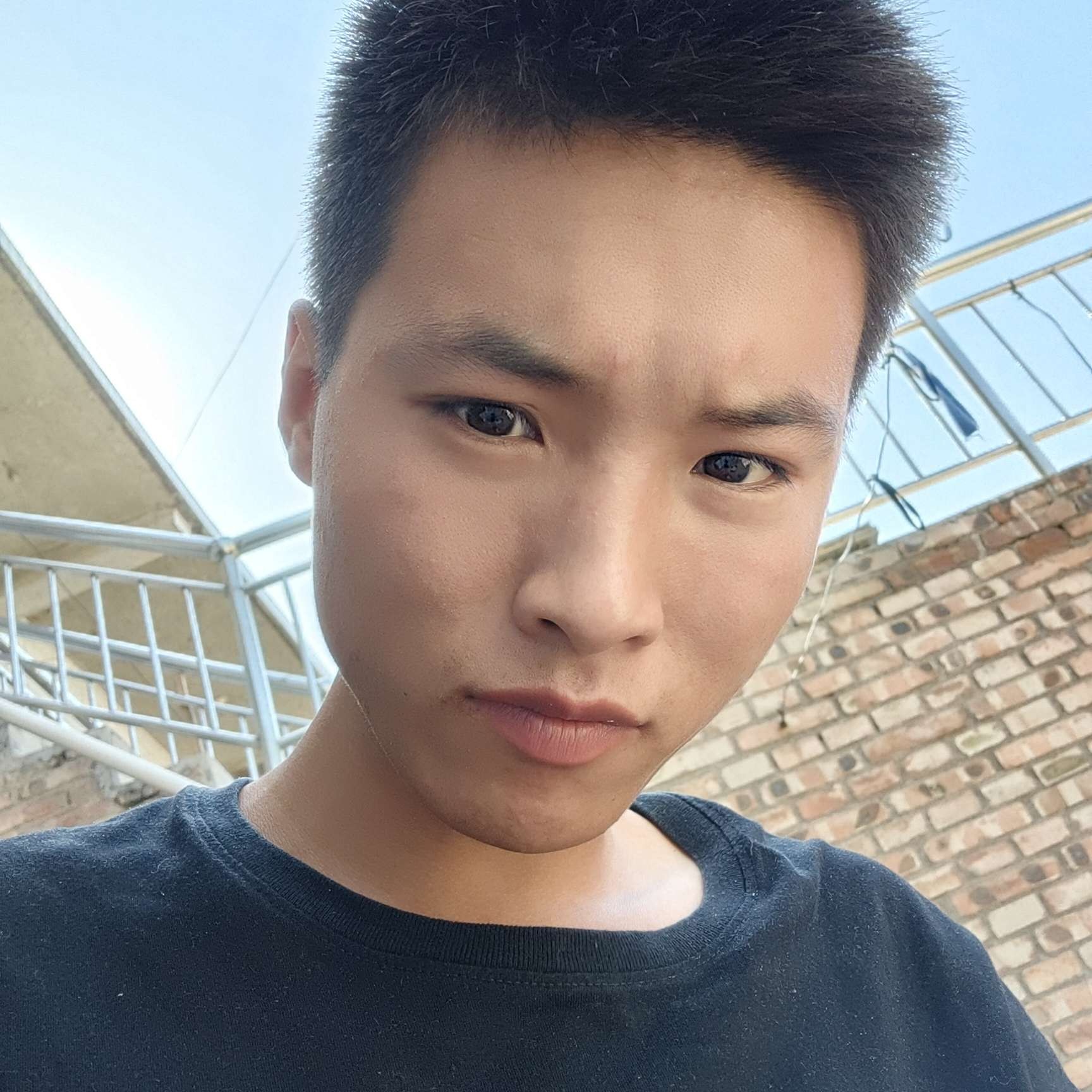 菠萝放弃安静的照片