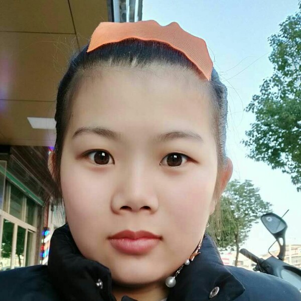 小蜜蜂还单身的照片